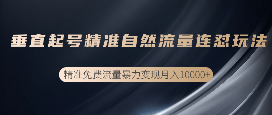 垂直起号精准自然流量连爆玩法，精准引流暴力变现月入10000+-火山资源库