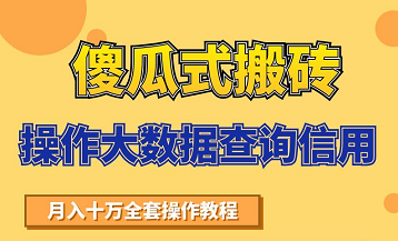 搬砖操作大数据查询信用项目赚钱教程，祝你快速月入6万-火山资源库