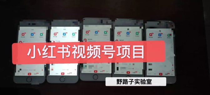 野路子小红书视频号1.0项目，直接上手操作就能赚钱的视频号项目-火山资源库