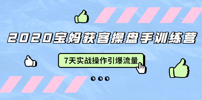 2020宝妈获客操盘手训练营：7天实战操作引爆 母婴、都市、购物宝妈流量-火山资源库