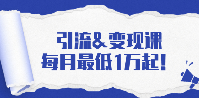 引流&变现课：分享一整套流量方法以及各个渠道收入，每月最低1万起！-火山资源库