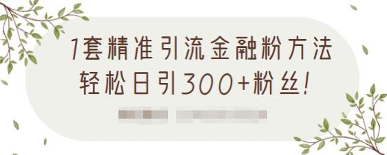 1套精准引流金融粉方法，轻松日引300+粉丝-火山资源库