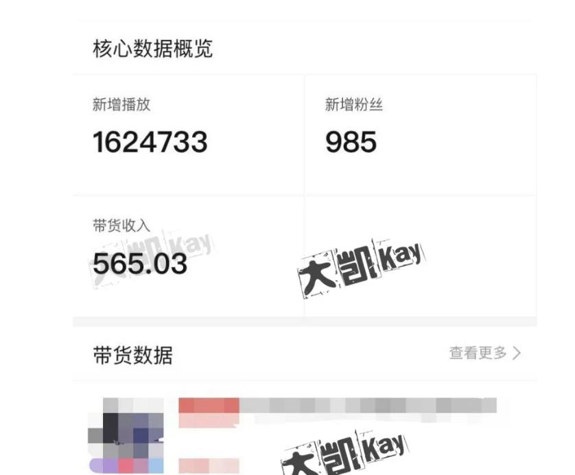 大凯进阶圈新玩法之拼多多视频玩法，利润大概一个号一天能有500~1500的左右!-火山资源库