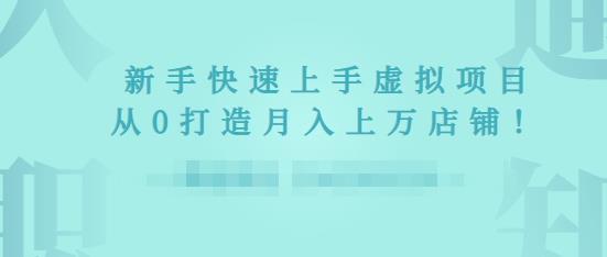 2022年虚拟项目实战指南，新手从0打造月入上万店铺-火山资源库