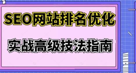 樊天华·SEO网站排名优化实战高级技法指南，让客户找到你-火山资源库