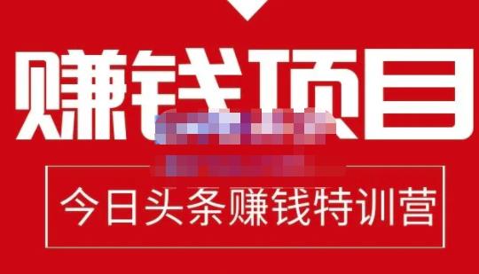 懒人领域·今日头条项目玩法，头条中视频项目，单号收益在50—500可批量-火山资源库