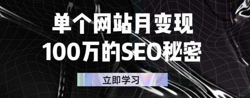 单个网站月变现100万的SEO秘密，百分百做出赚钱站点-火山资源库