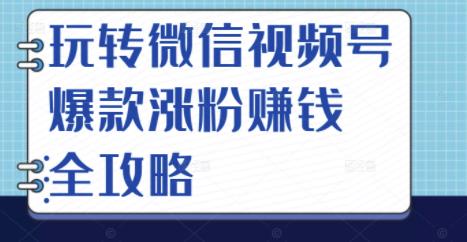 玩转微信视频号爆款涨粉赚钱全攻略，让你快速抓住流量风口，收获红利财富-火山资源库