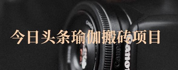 猎人社区·今日头条瑜伽搬砖项目，单号一天几十收入，可以批量操作！-火山资源库