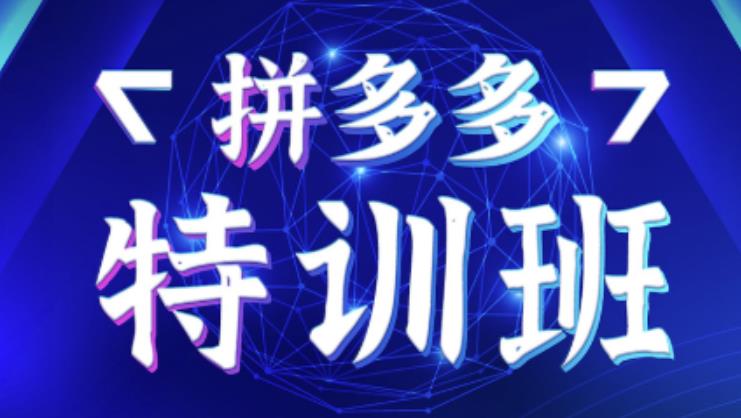 星雪教育·拼多多基础班+进阶班+突破班，用系统的学习模式快速改变现状价值3580元-火山资源库