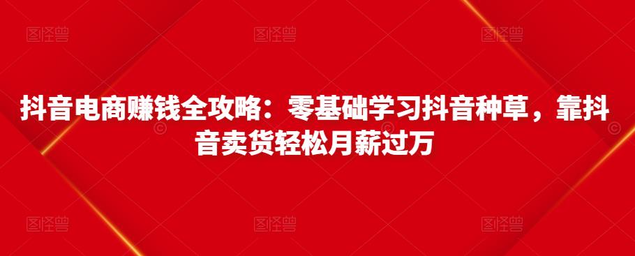 抖音电商赚钱全攻略：零基础学习抖音种草，靠抖音卖货轻松月薪过万-火山资源库