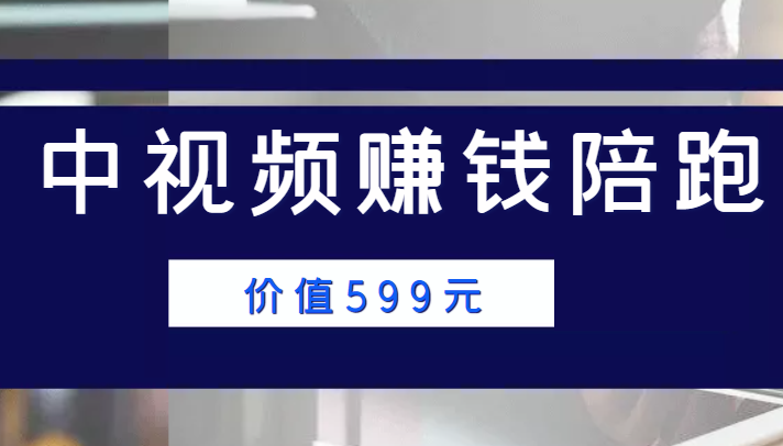 中视频赚钱陪跑，卖中视频账户赚钱收益陪跑项目（价值599元）-火山资源库