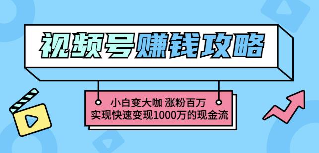 玩转微信视频号赚钱：小白变大咖涨粉百万实现快速变现1000万的现金流-火山资源库