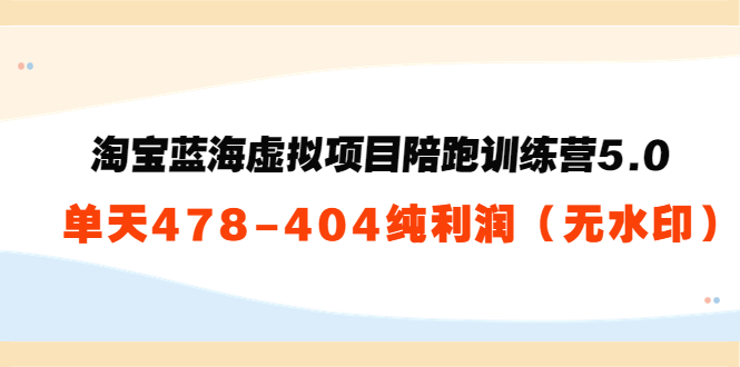 淘宝蓝海虚拟项目陪跑训练营5.0：单天478纯利润-火山资源库