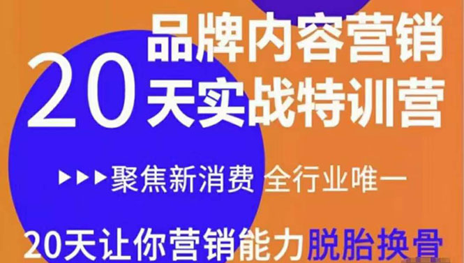 《内容营销实操特训营》20天让你营销能力脱胎换骨（价值3999）-火山资源库