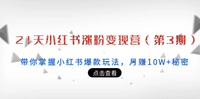 21天小红书涨粉变现营（第3期）：带你掌握小红书爆款玩法，月赚10W+秘密-火山资源库