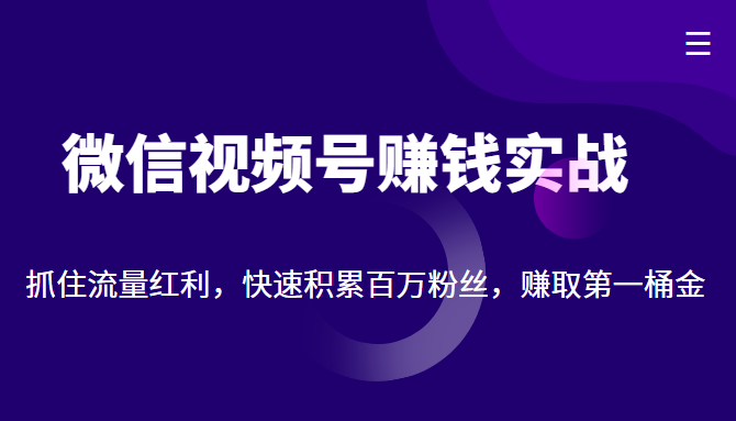 微信视频号赚钱实战：抓住流量红利，快速积累百万粉丝，赚取你的第一桶金-火山资源库
