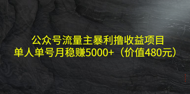 公众号流量主暴利撸收益项目，单人单号月稳赚5000+（价值480元）-火山资源库