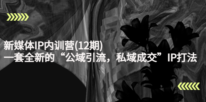 新媒体IP内训营(12期)，一套全新的“公域引流，私域成交”IP打法，直接带走-火山资源库