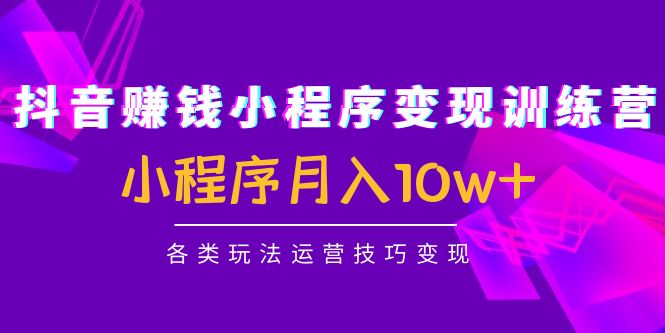 抖音赚钱小程序变现训练营：小程序月入10w+各类玩法运营技巧变现-火山资源库