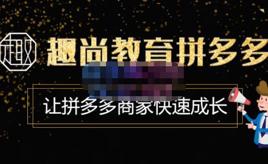 趣尚教育·拼多多运营实操VIP特训营，让拼多多商家快速成长-价值3180元-火山资源库