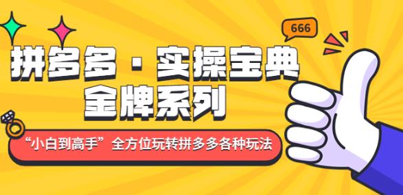 拼多多·实操宝典：金牌系列“小白到高手”带你全方位玩转拼多多各种玩法-火山资源库