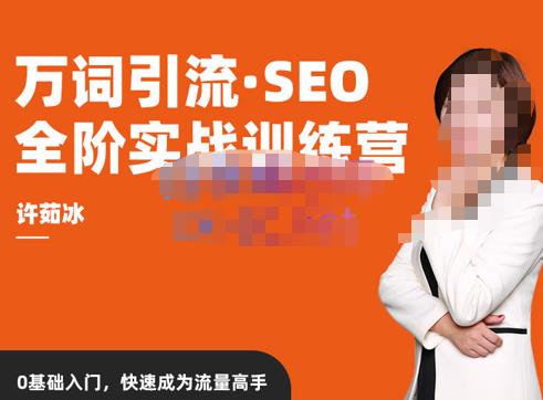 许茹冰·万词引流-SEO全阶实战训练营，0基础入门，快速成为流量高手-火山资源库