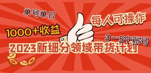 2023新细分领域带货计划：单号单日1000+收益不难，每人可操作3-5个账号-火山资源库