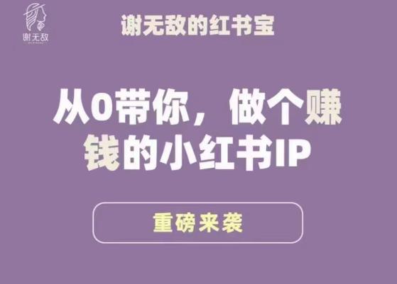 谢无敌·小红书运营大宝典，从0带你做个赚钱的小红书IP-火山资源库