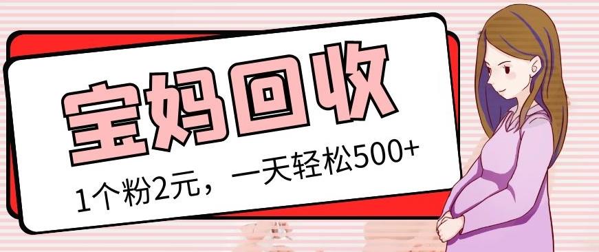最新宝妈粉回收变现计划及胎教音乐高端变现玩法全套教程！（非老玩法）-火山资源库