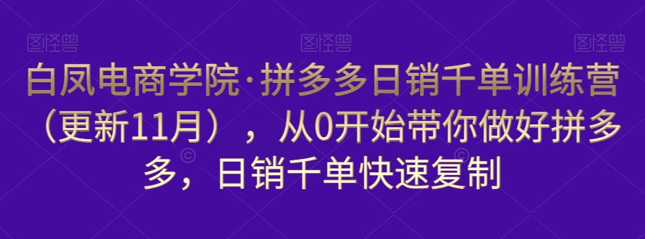 白凤电商学院·拼多多日销千单训练营，从0开始带你做好拼多多，日销千单快速复制（更新知2023年3月）-火山资源库