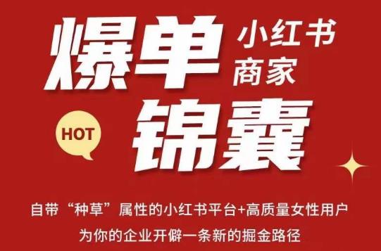 无畏·小红书商家爆单锦囊，掌握小红书各大规则，快速精准抢占行业和市场-火山资源库