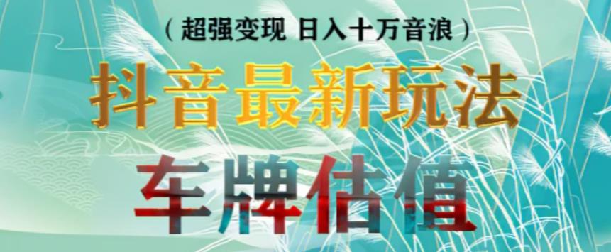 抖音最新无人直播变现直播车牌估值玩法项目，轻松日赚几百+【详细玩法教程】-火山资源库