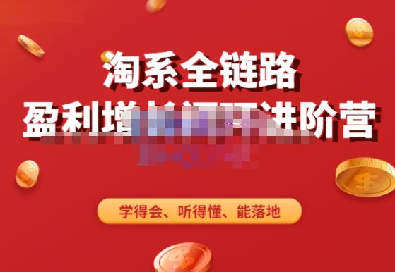 淘系全链路盈利增长闭环进阶营，融合全店动销，学得会、听得懂、能落地！-火山资源库