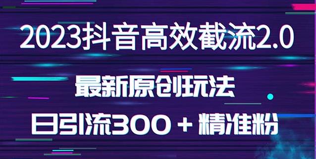 日引300＋创业粉，独家抖音高效截流2.0玩法（价值1280）-火山资源库