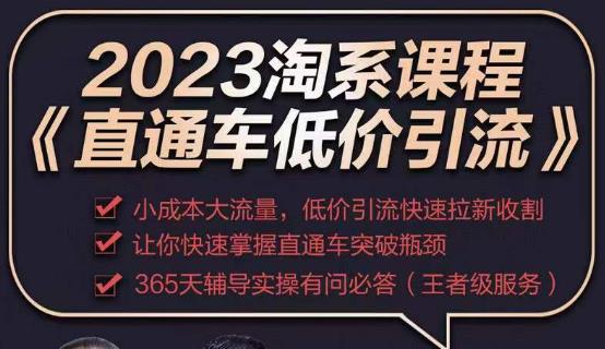 2023直通车低价引流玩法课程，小成本大流量，低价引流快速拉新收割，让你快速掌握直通车突破瓶颈-火山资源库