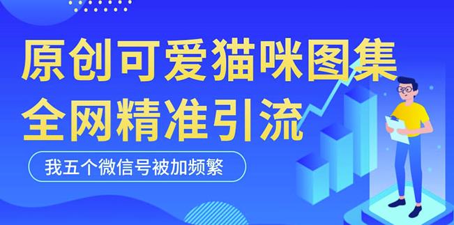 黑科技纯原创可爱猫咪图片，全网精准引流，实操5个VX号被加频繁-火山资源库