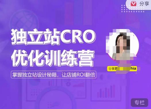 独立站CRO优化训练营，掌握独立站设计秘籍，打造高转化的独立站，让店铺ROI翻倍-火山资源库