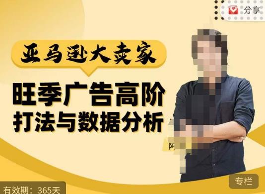 阿甘·亚马逊大卖家广告高阶打法与数据分析，走出传统广告误区；揭秘大卖惯用打法；数据驱动广告决策-火山资源库