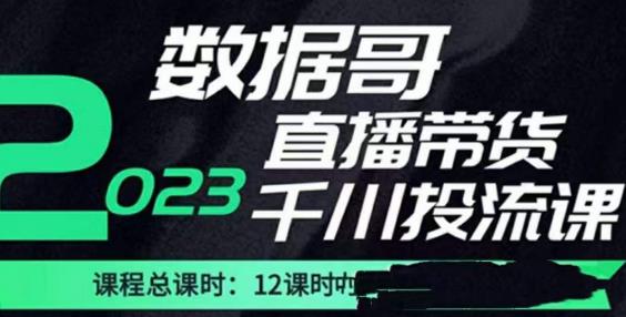 数据哥2023直播电商巨量千川付费投流实操课，快速掌握直播带货运营投放策略-火山资源库