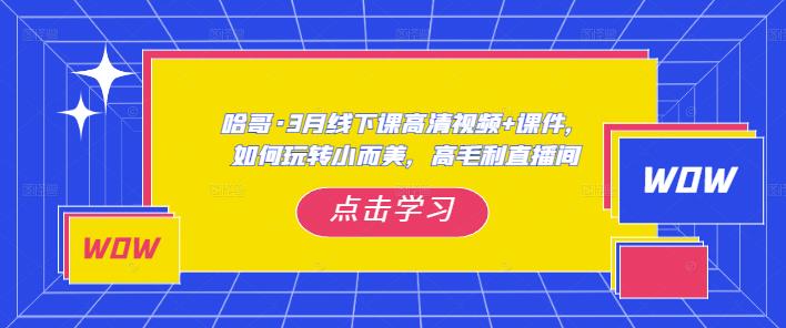 哈哥·3月线下实操课高清视频+课件，如何玩转小而美，高毛利直播间-火山资源库