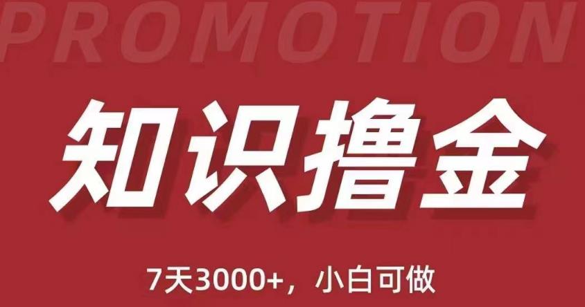 抖音知识撸金项目：简单粗暴日入1000+执行力强当天见收益(教程+资料)-火山资源库
