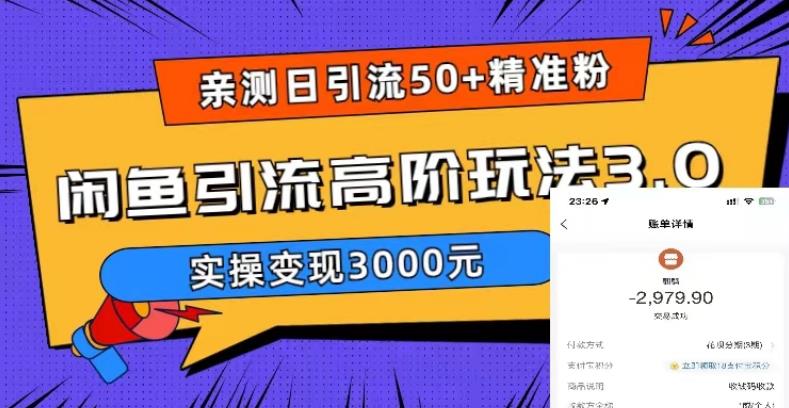 亲测日引50+精准粉，闲鱼引流高阶玩法3.0，实操变现3000元【揭秘】-火山资源库