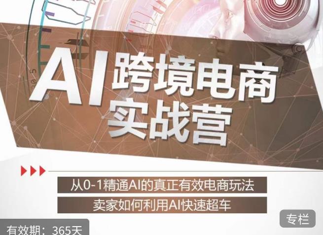 白龙老师·AI跨境电商实战营：从0-1精通Al的真正有效电商玩法，卖家如何利用Al快速超车-火山资源库