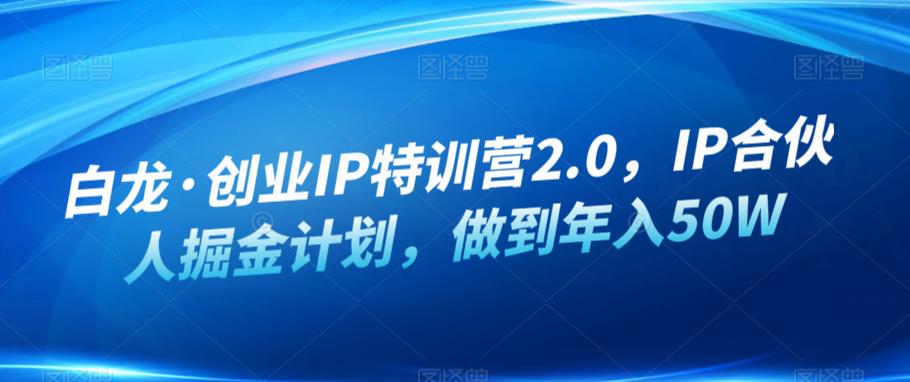 白龙·创业IP特训营2.0，IP合伙人掘金计划，做到年入50W-火山资源库