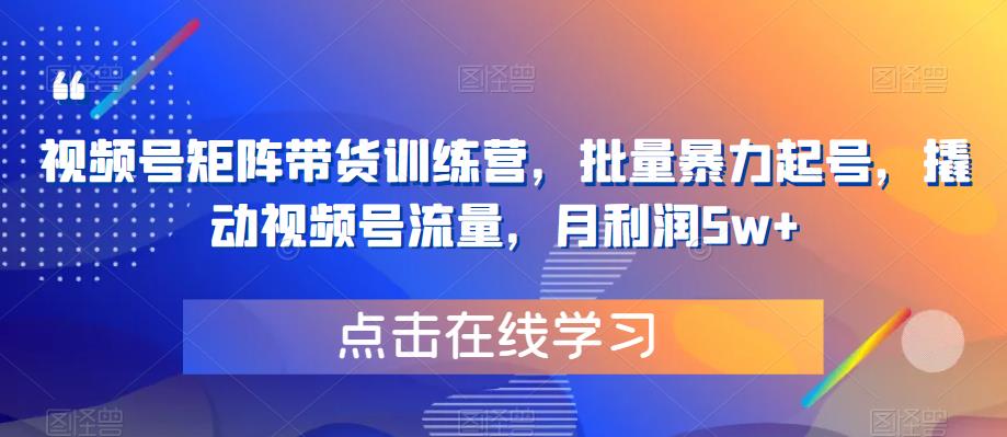 视频号矩阵带货训练营，批量暴力起号，撬动视频号流量，月利润5w+-火山资源库