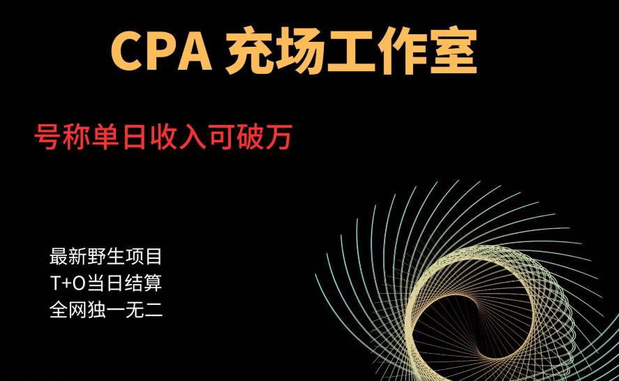 cpa充场工作室，号称单日收入10000+（揭秘）-火山资源库