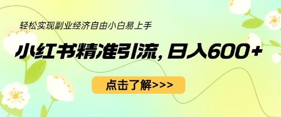 小红书精准引流，小白日入600+，轻松实现副业经济自由（教程+1153G资源）-火山资源库