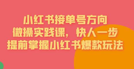接单号方向·小红书微操实践课，快人一步，提前掌握小红书爆款玩法-火山资源库