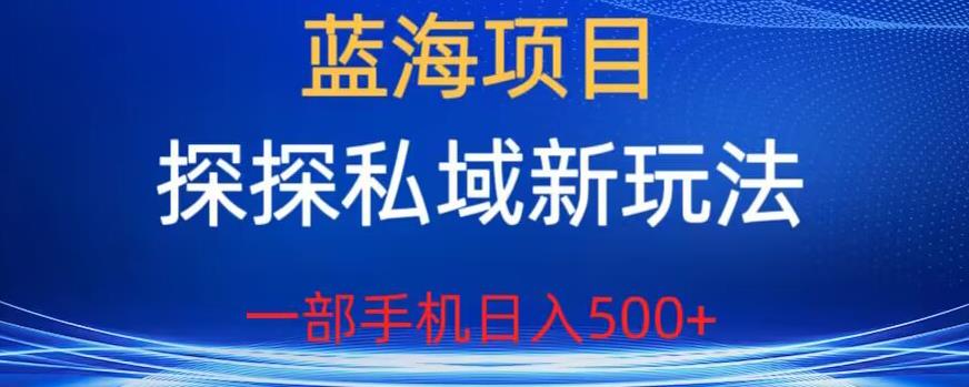 蓝海项目，探探私域新玩法，一部手机日入500+很轻松【揭秘】-火山资源库